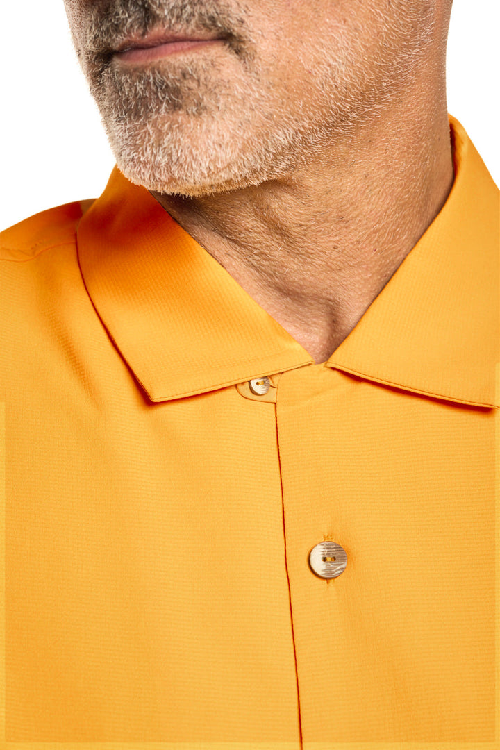 Color_Apricot Crush