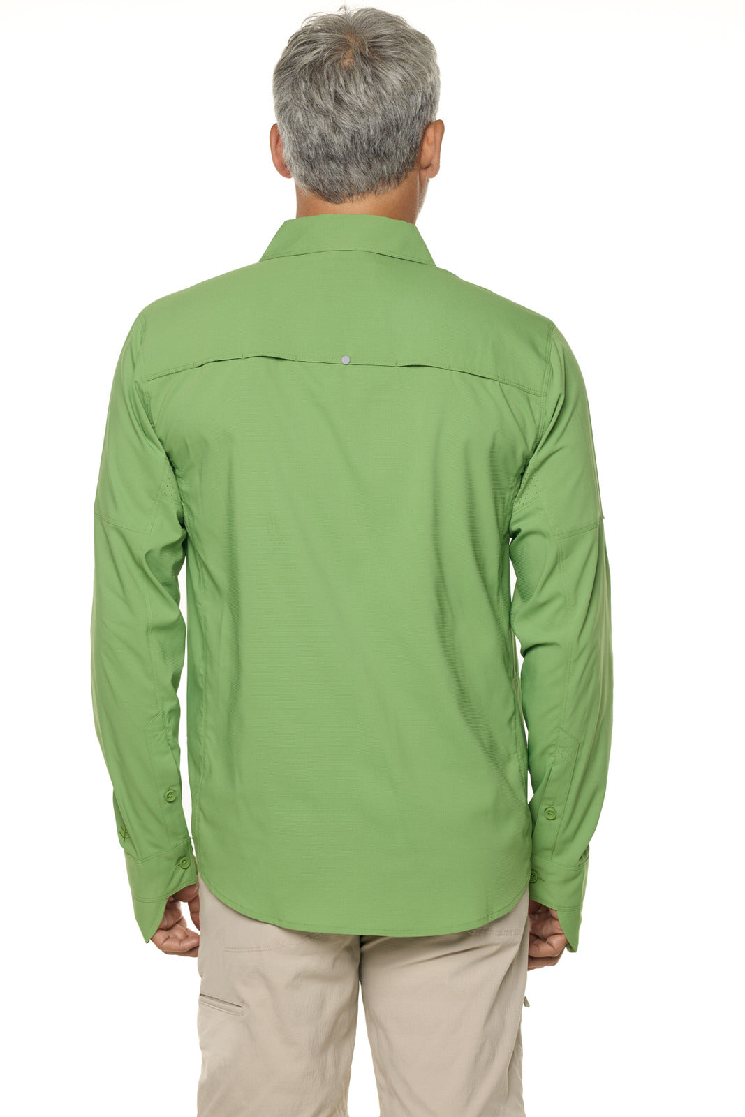 Color_Soft Fern